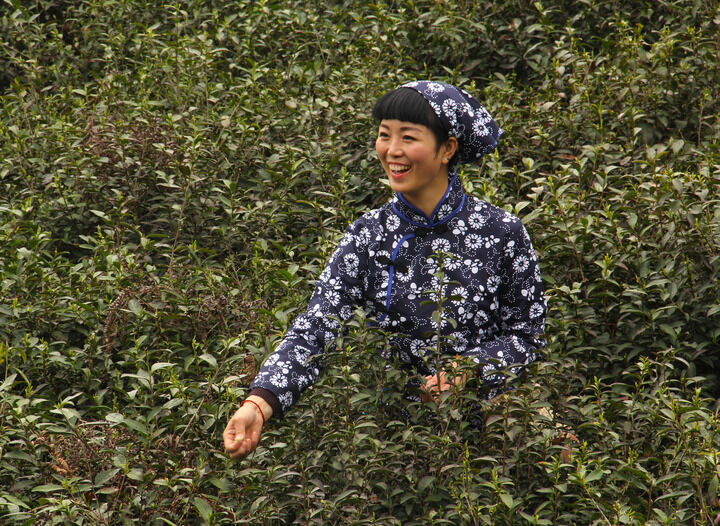 直播电影